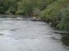 Fish stream 3_thumb.jpg 2.1K